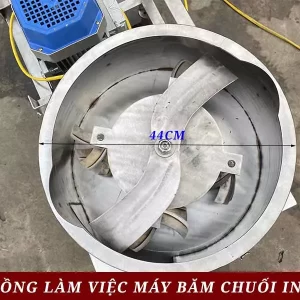 Buồng làm việc máy băm chuối inox