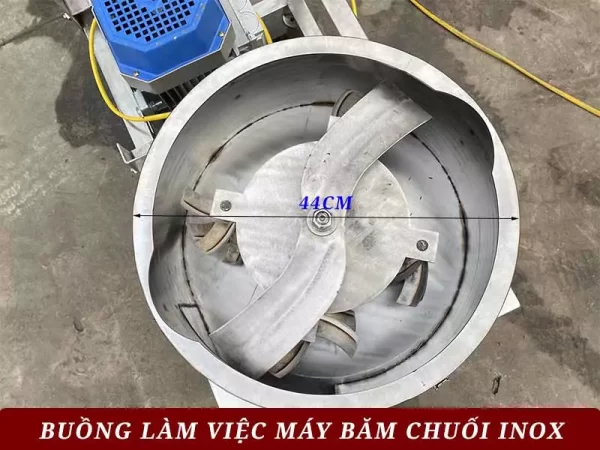 Buồng làm việc máy băm chuối inox