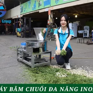 Máy băm chuối đa năng inox