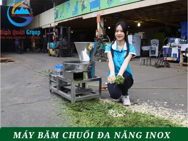 Máy băm chuối đa năng inox