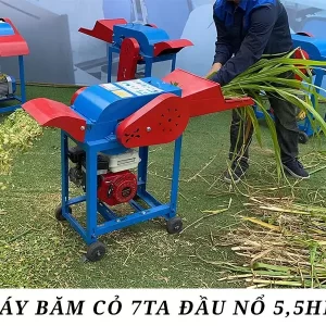 Máy băm cỏ 7TA đầu nổ