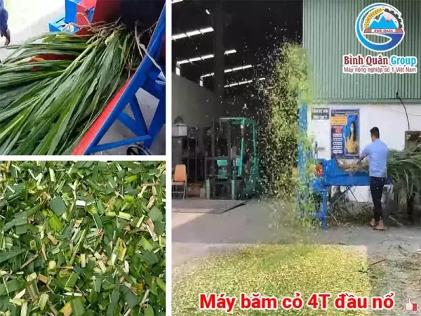 máy băm cỏ 4T đầu nổ