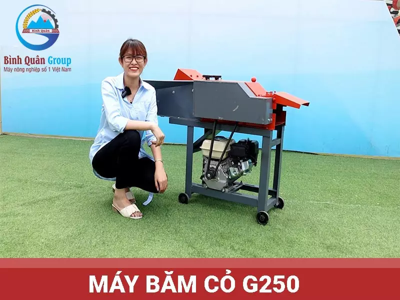 máy băm cỏ g250